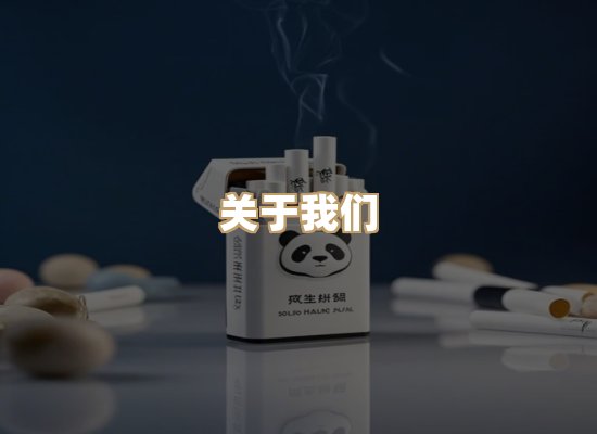 关于御龙烟网